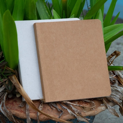 Picture of Vagabond Series Kraft & Gray Notebook 2-Pack