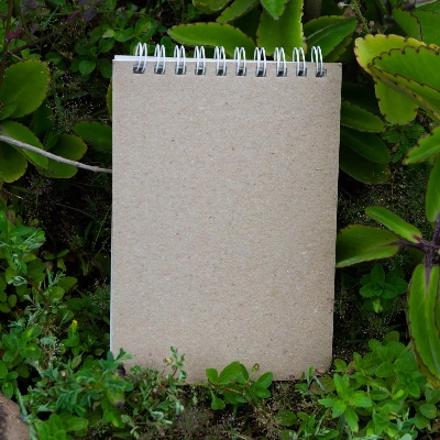 Picture of Memo Book White Double-O Ring Notebook