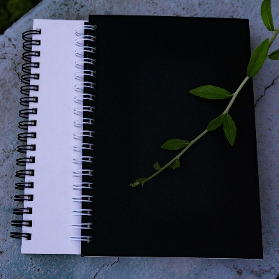 Picture of Executive Series Black & White Cover Spiral Notebook 2-Pack