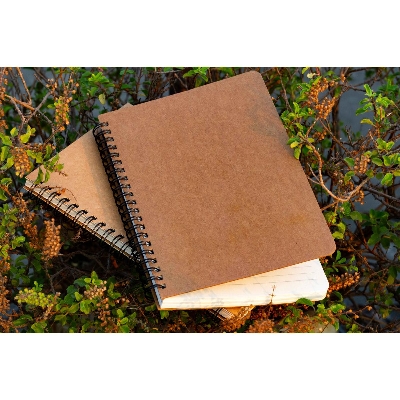 Picture of Designer Series Dot-Grid & Daily Journal Notebook 2-Pack