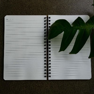 Picture of Daily Journal Kraft Spiral Lined Notebook