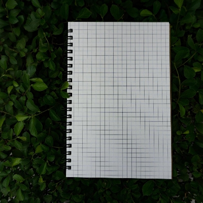 Picture of Designer Series Kraft Spiral Grid Graph Notebook