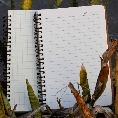 Picture of Designer Series Graph/Grid & Daily Journal Notebook 2-Pack