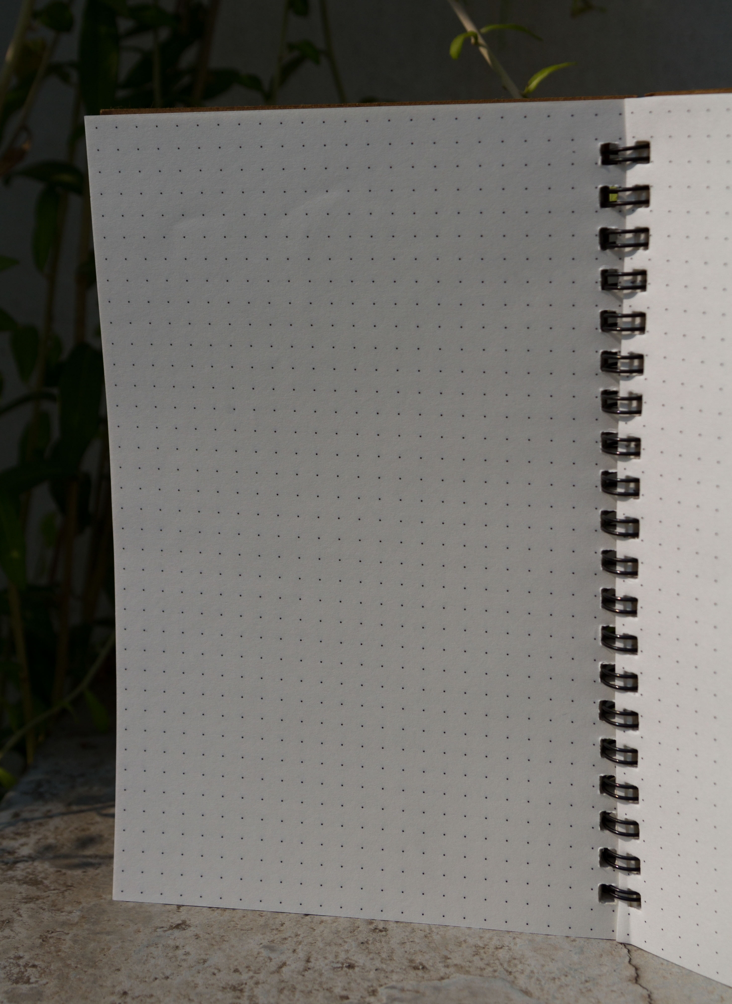 Picture of Designer Series Kraft Spiral Dotted Grid Notebook