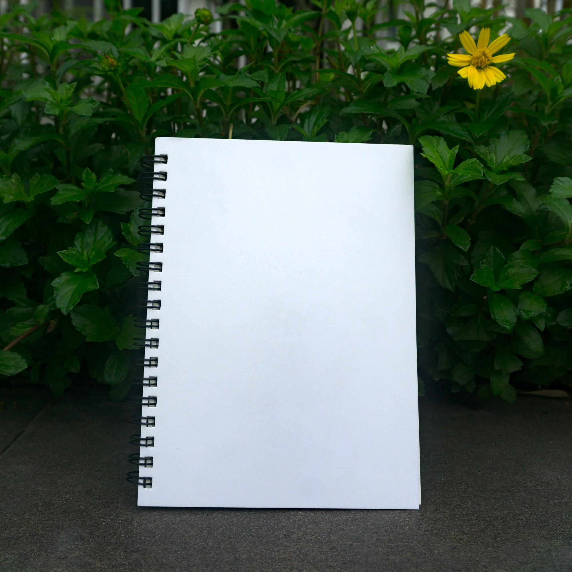 Picture of Executive Series White Cover Spiral Notebook