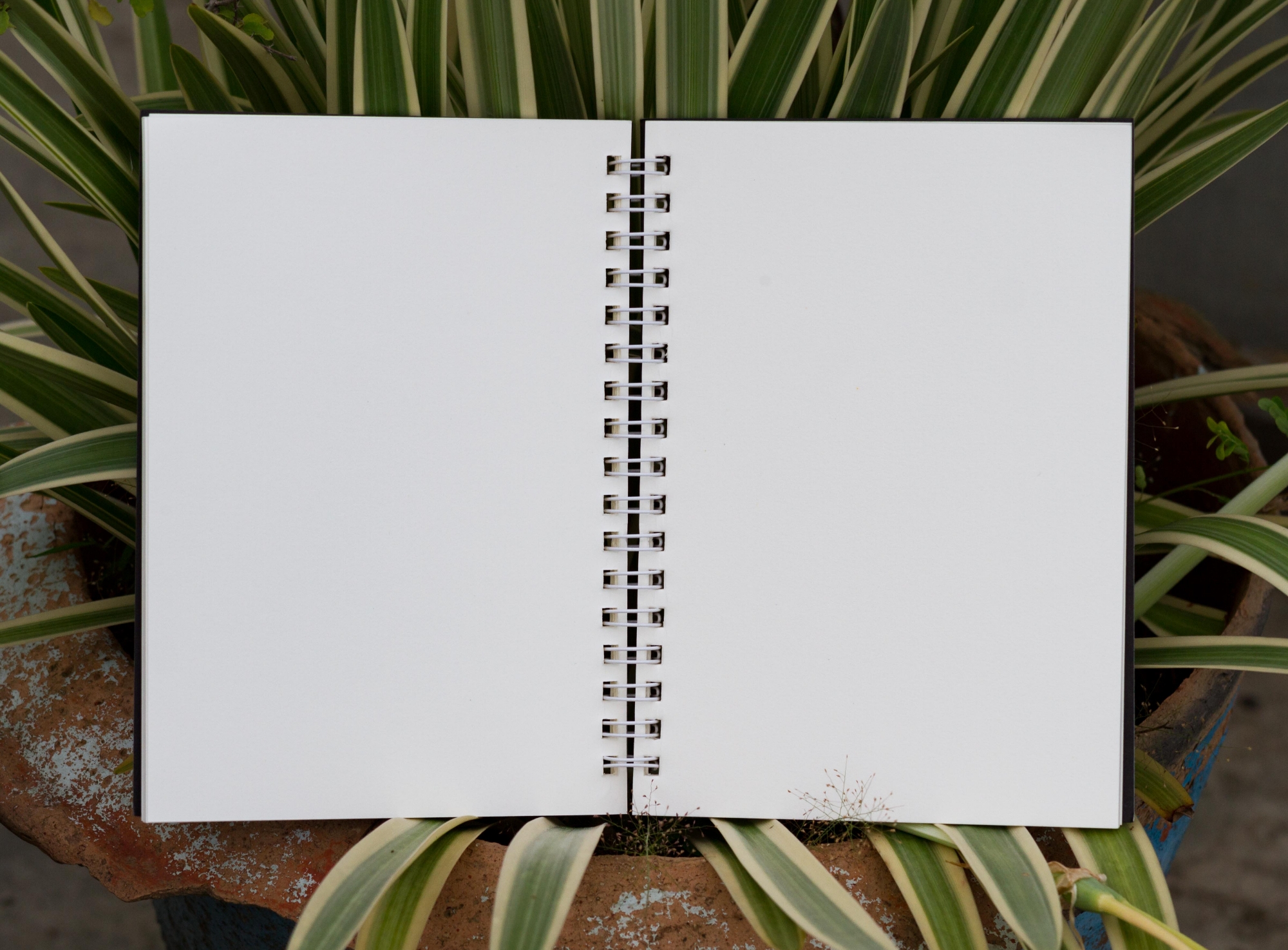 Picture of Executive Series White Cover Spiral Notebook