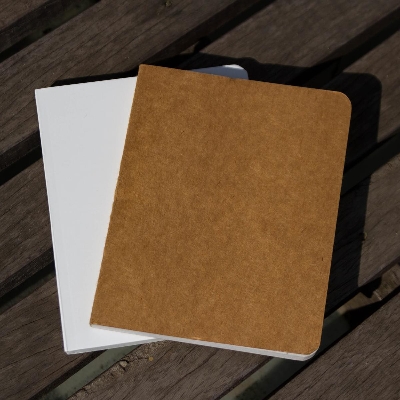 Picture of Pocket Series White & Kraft Notebook 2-Pack