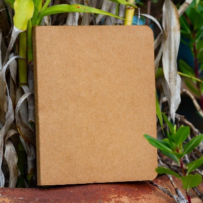 Picture of Pocket Series Kraft Notebook