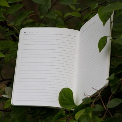 Picture of Writers Edition Kraft Lined Notebook