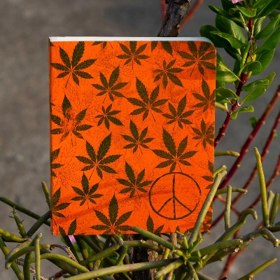 Picture of Leaf Series Orange Leaf Notebook (SN20201125)