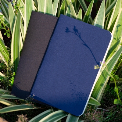Picture of Pocket Book Black & Blue Notebook 2-Pack