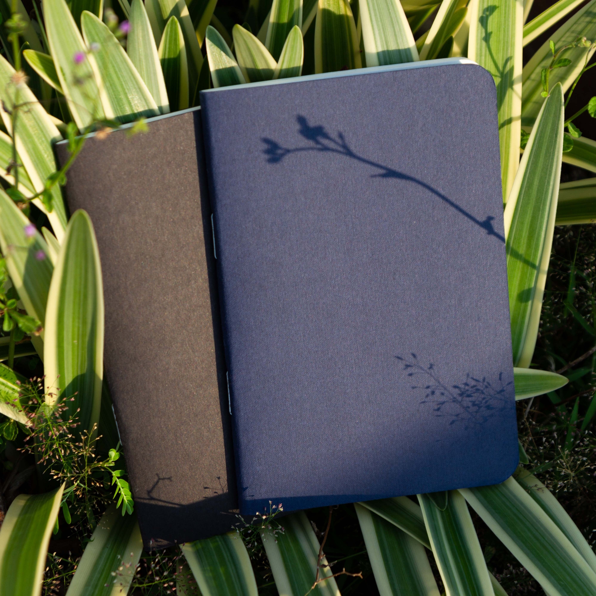 Picture of Pocket Book Black & Blue Notebook 2-Pack