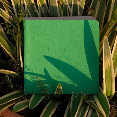 Picture of Sevendaysnotes 365 Days Green Cover Notebook