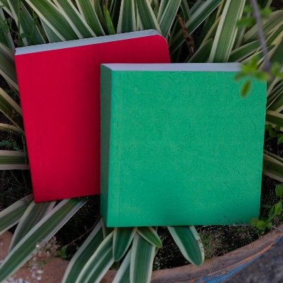 Picture of 365 Days Green & Red Cover Notebook 2-Pack