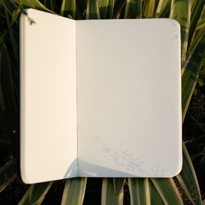 Picture of Pocket Book Black Notebook