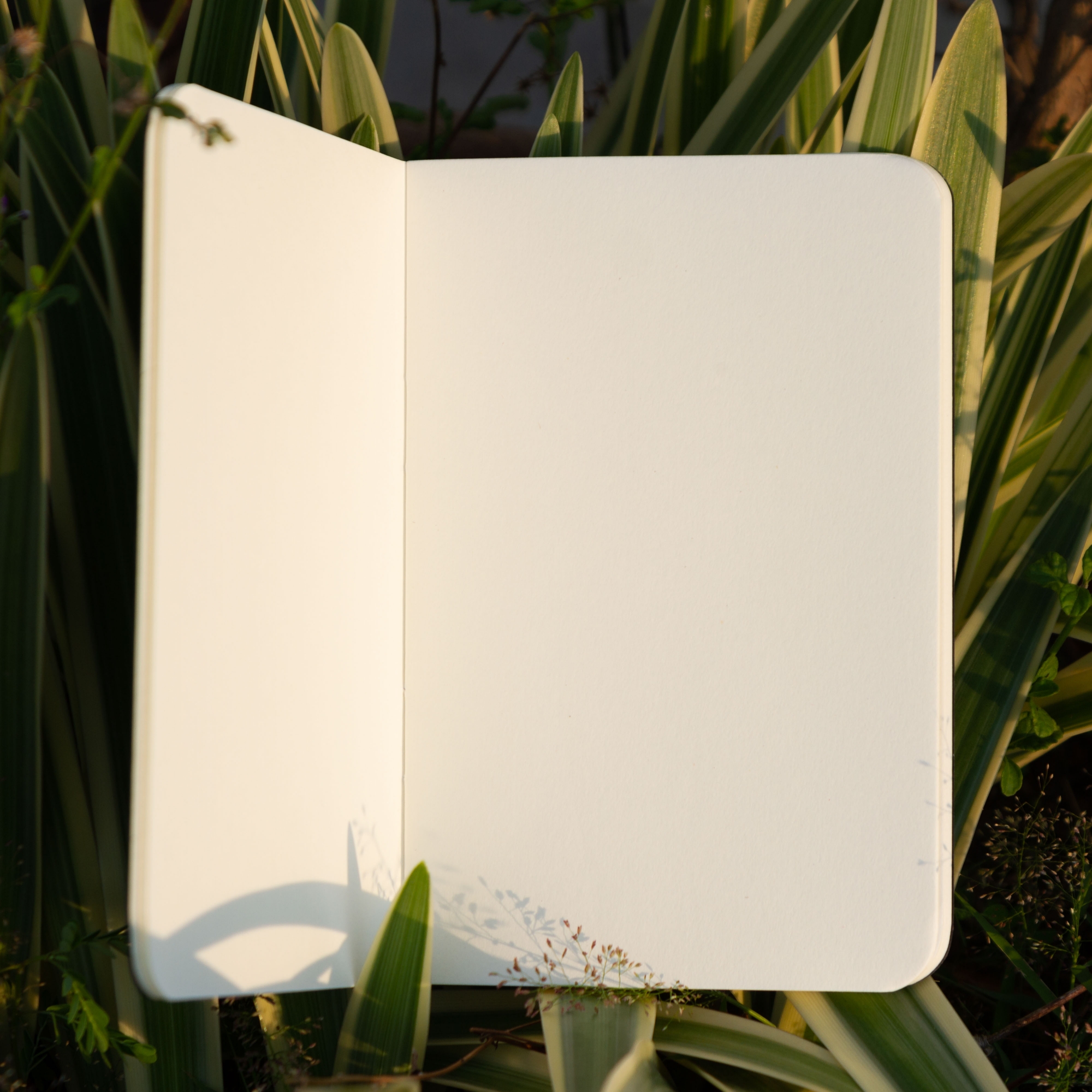 Picture of Pocket Book Black Notebook