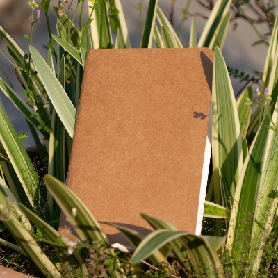 Picture of Pocket Book Kraft Notebook