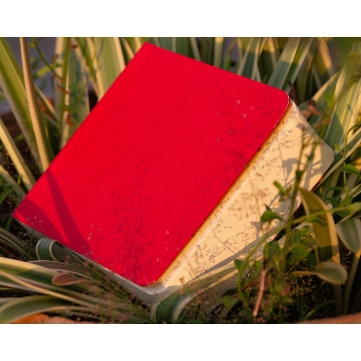 Picture of Sevendaysnotes 365 Days Red Cover Notebook