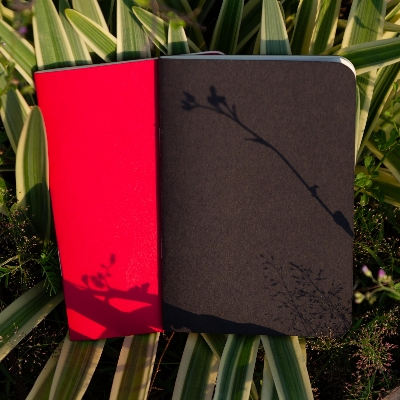 Picture of Pocket Book Black & Red Notebook 2-Pack