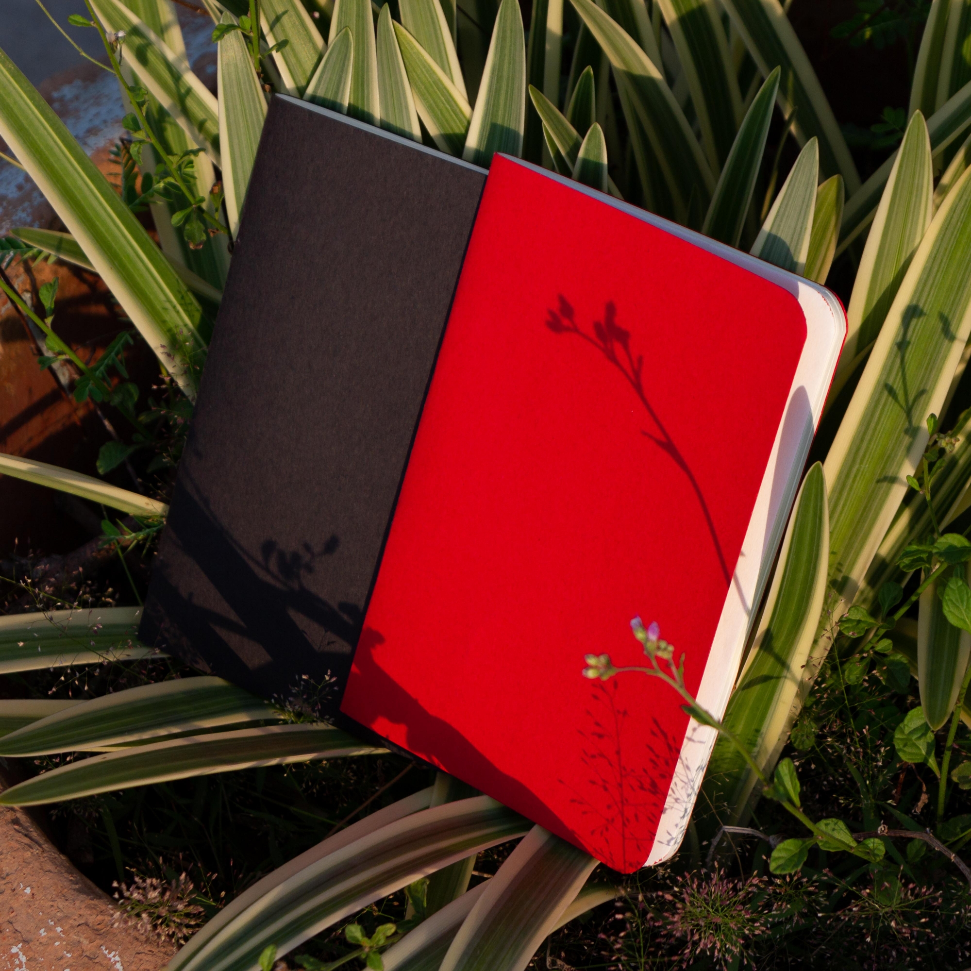 Picture of Pocket Book Black & Red Notebook 2-Pack