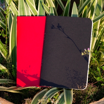 Picture of Pocket Book Black & Red Notebook 2-Pack