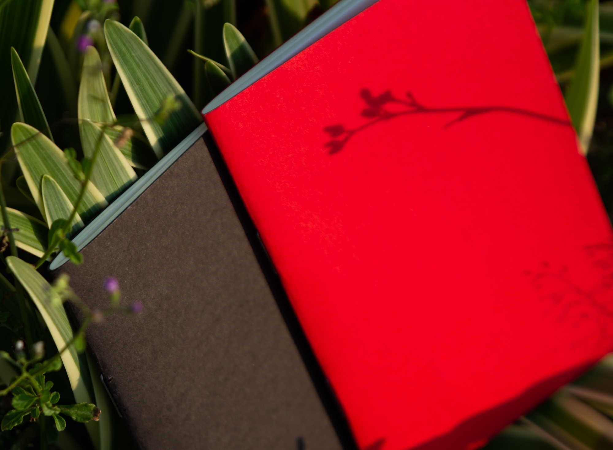Picture of Pocket Book Black & Red Notebook 2-Pack