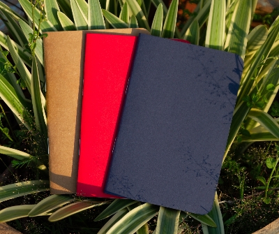 Picture of Pocket Book Blue, Kraft & Red Notebook 3-Pack