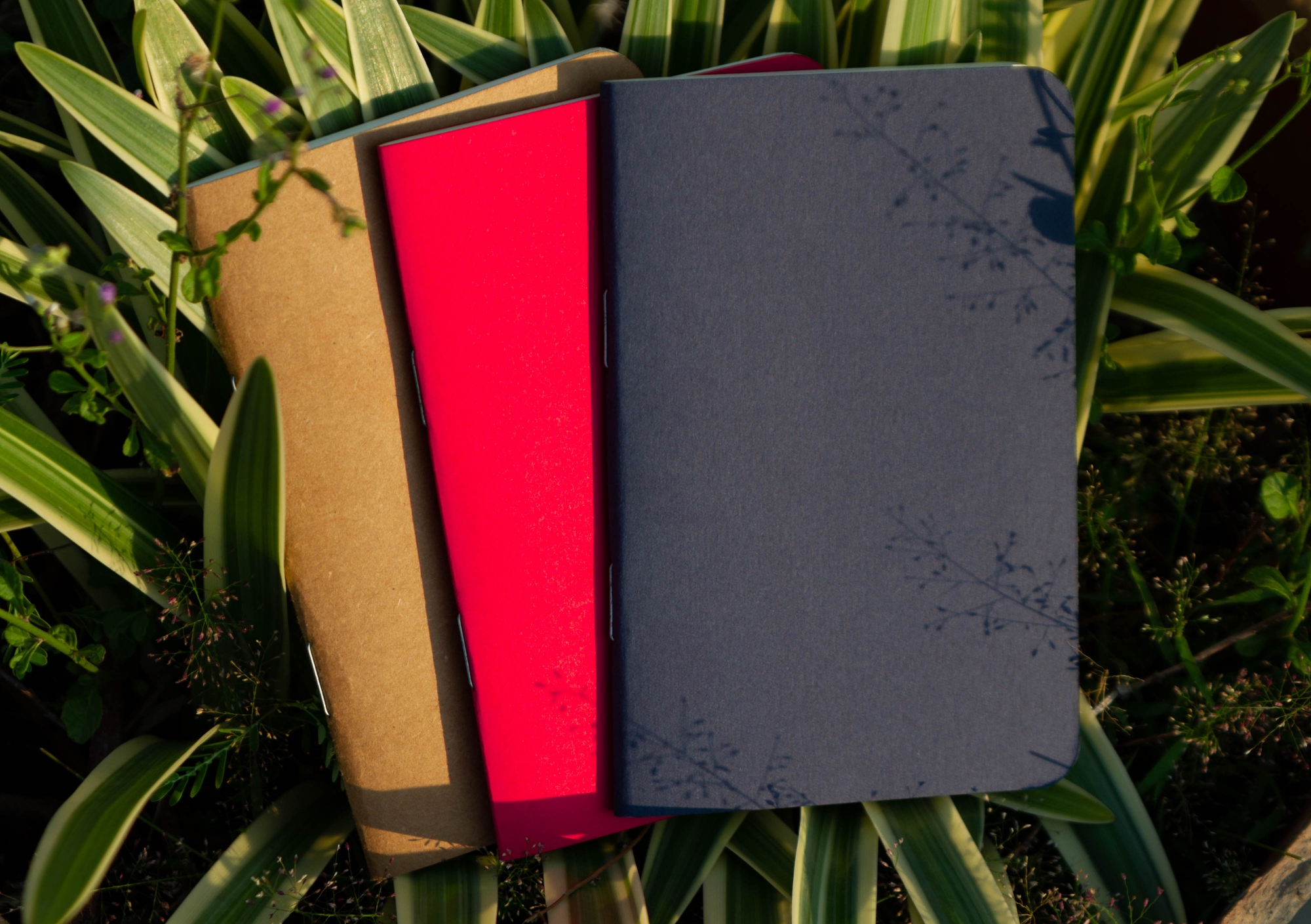 Picture of Pocket Book Blue, Kraft & Red Notebook 3-Pack