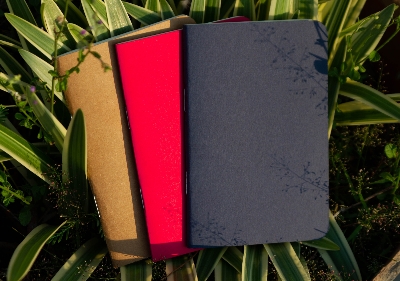 Picture of Pocket Book Blue, Kraft & Red Notebook 3-Pack