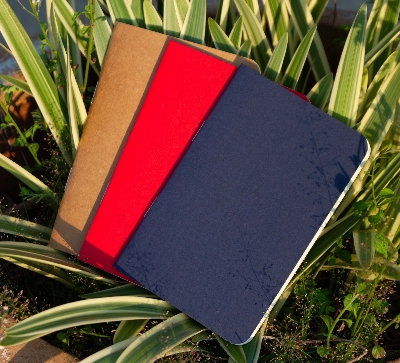 Picture of Pocket Book Blue, Kraft & Red Notebook 3-Pack