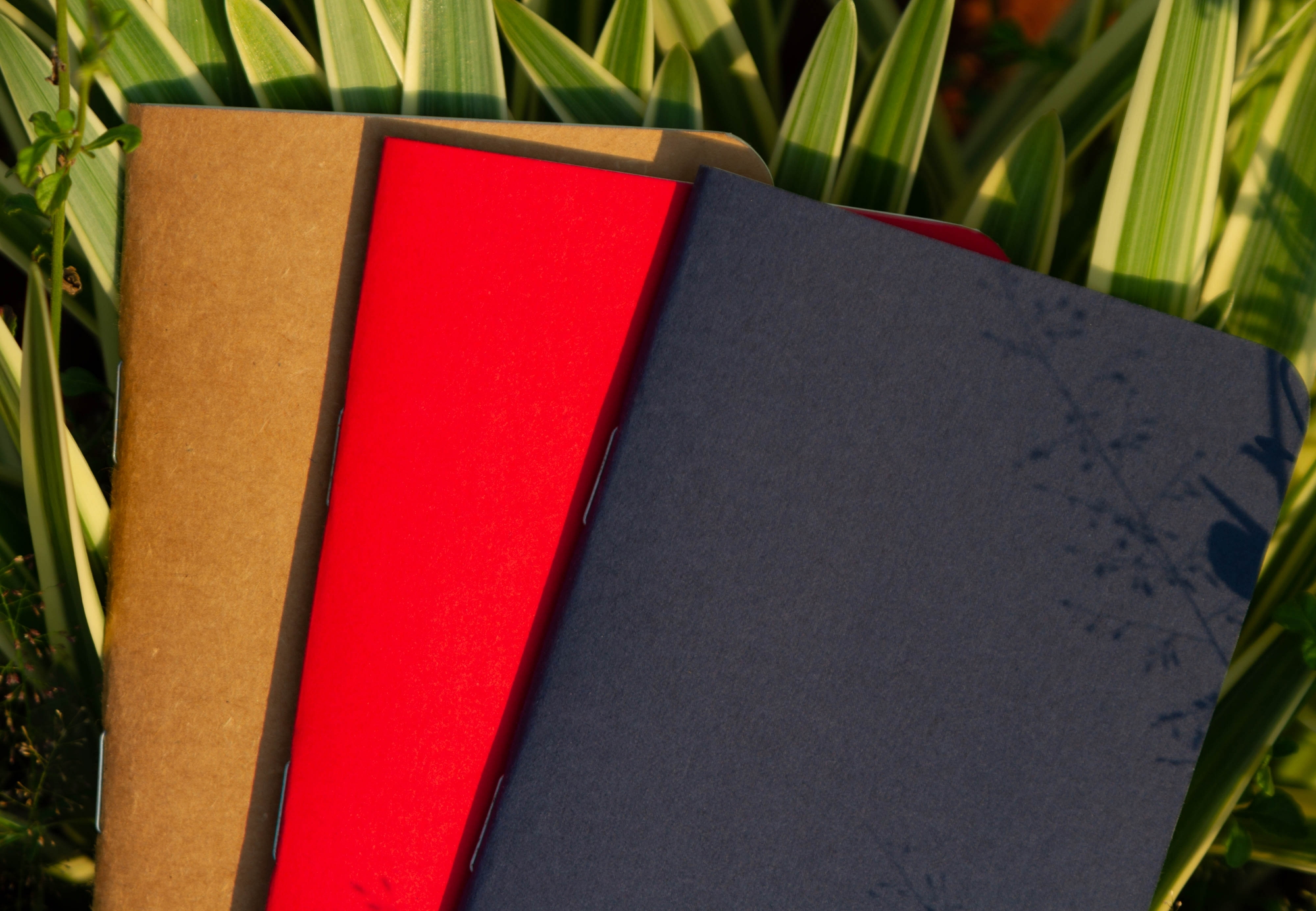 Picture of Pocket Book Blue, Kraft & Red Notebook 3-Pack