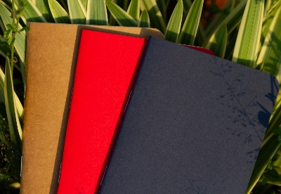 Picture of Pocket Book Blue, Kraft & Red Notebook 3-Pack