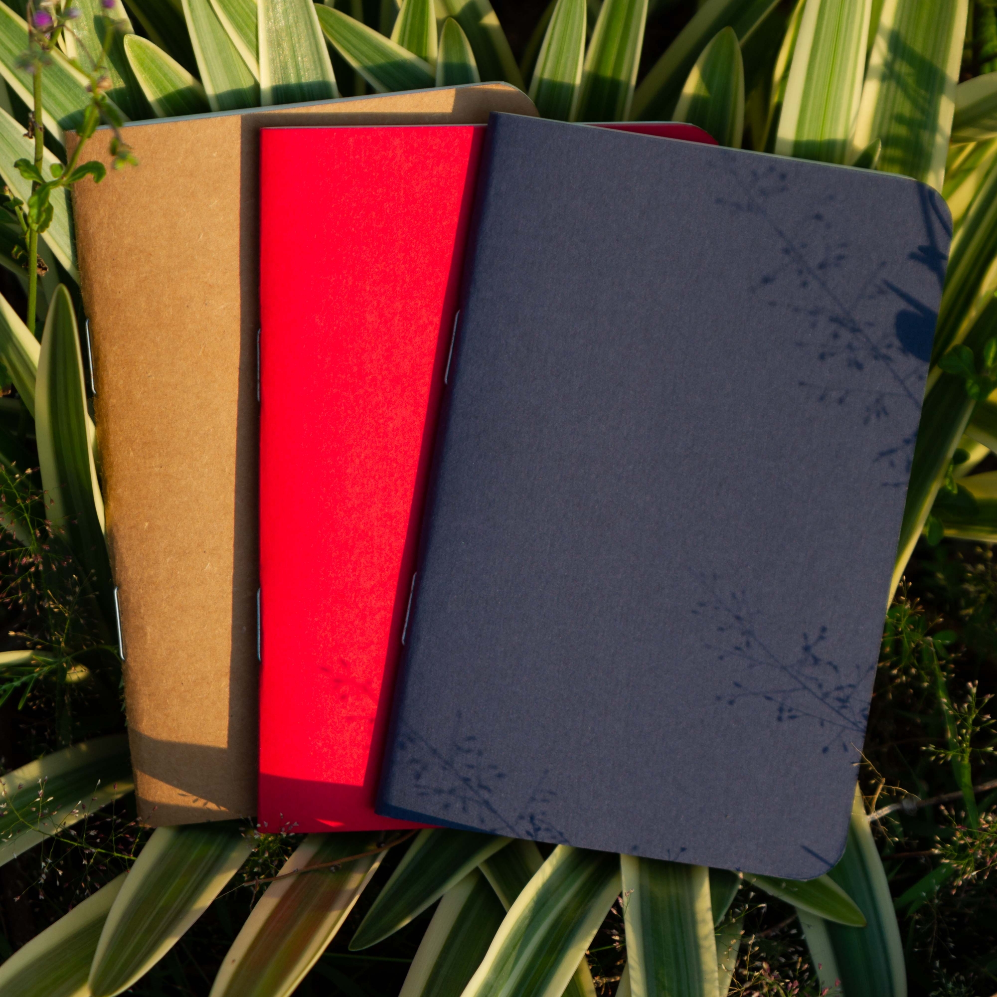 Picture of Pocket Book Blue, Kraft & Red Notebook 3-Pack