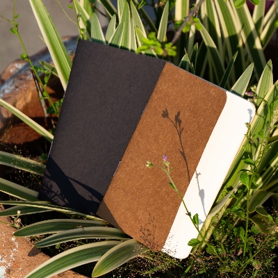 Picture of Pocket Book Black & Kraft Notebook 2-Pack
