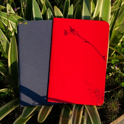 Picture of Pocket Book Blue & Red Notebook 2-Pack