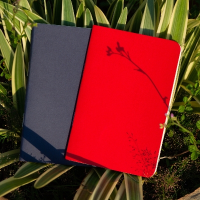 Picture of Pocket Book Blue & Red Notebook 2-Pack