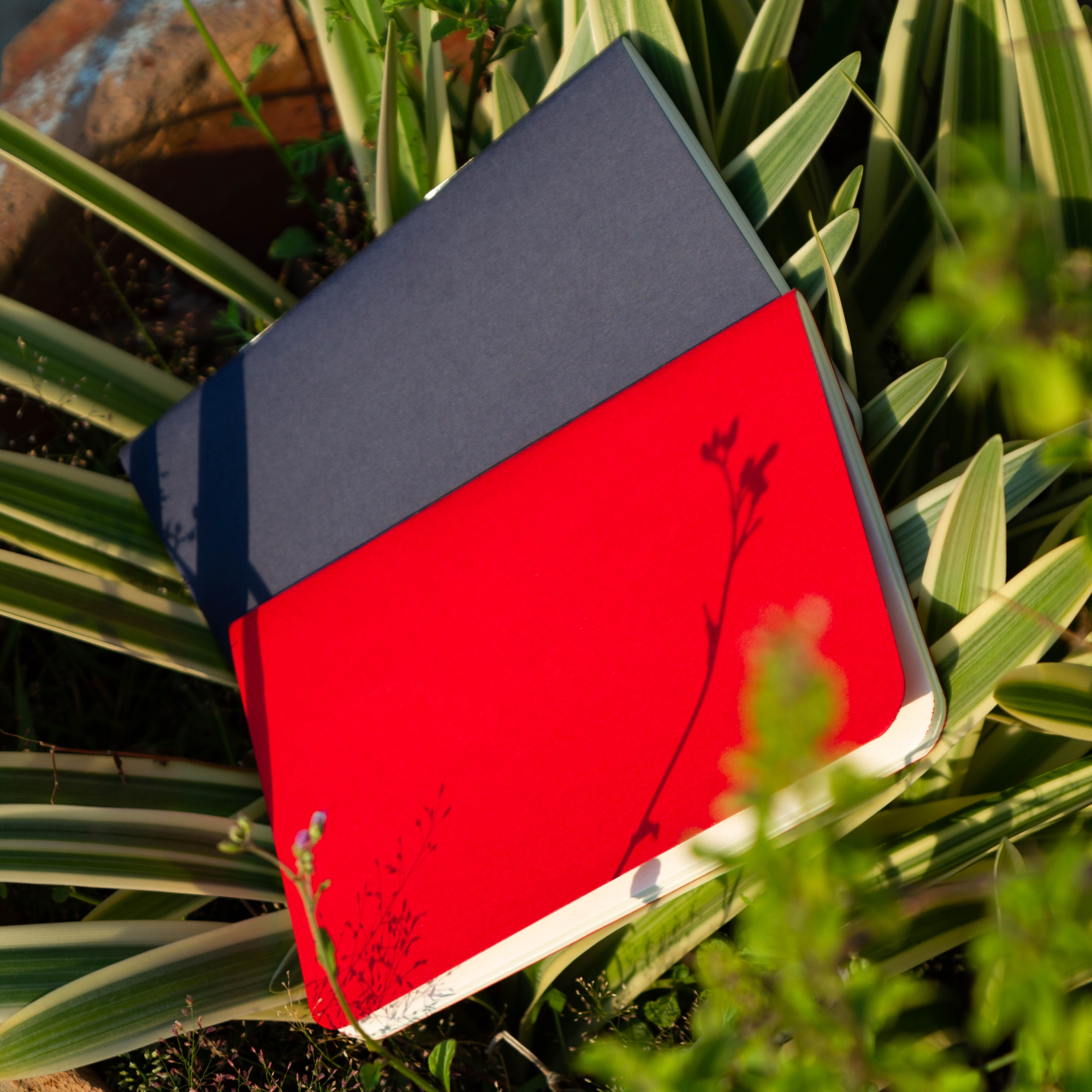 Picture of Pocket Book Blue & Red Notebook 2-Pack