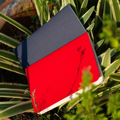 Picture of Pocket Book Blue & Red Notebook 2-Pack