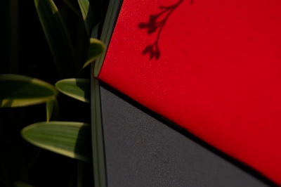 Picture of Pocket Book Blue & Red Notebook 2-Pack