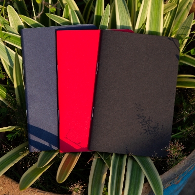 Picture of Pocket Book Black, Blue & Red Notebook 3-Pack