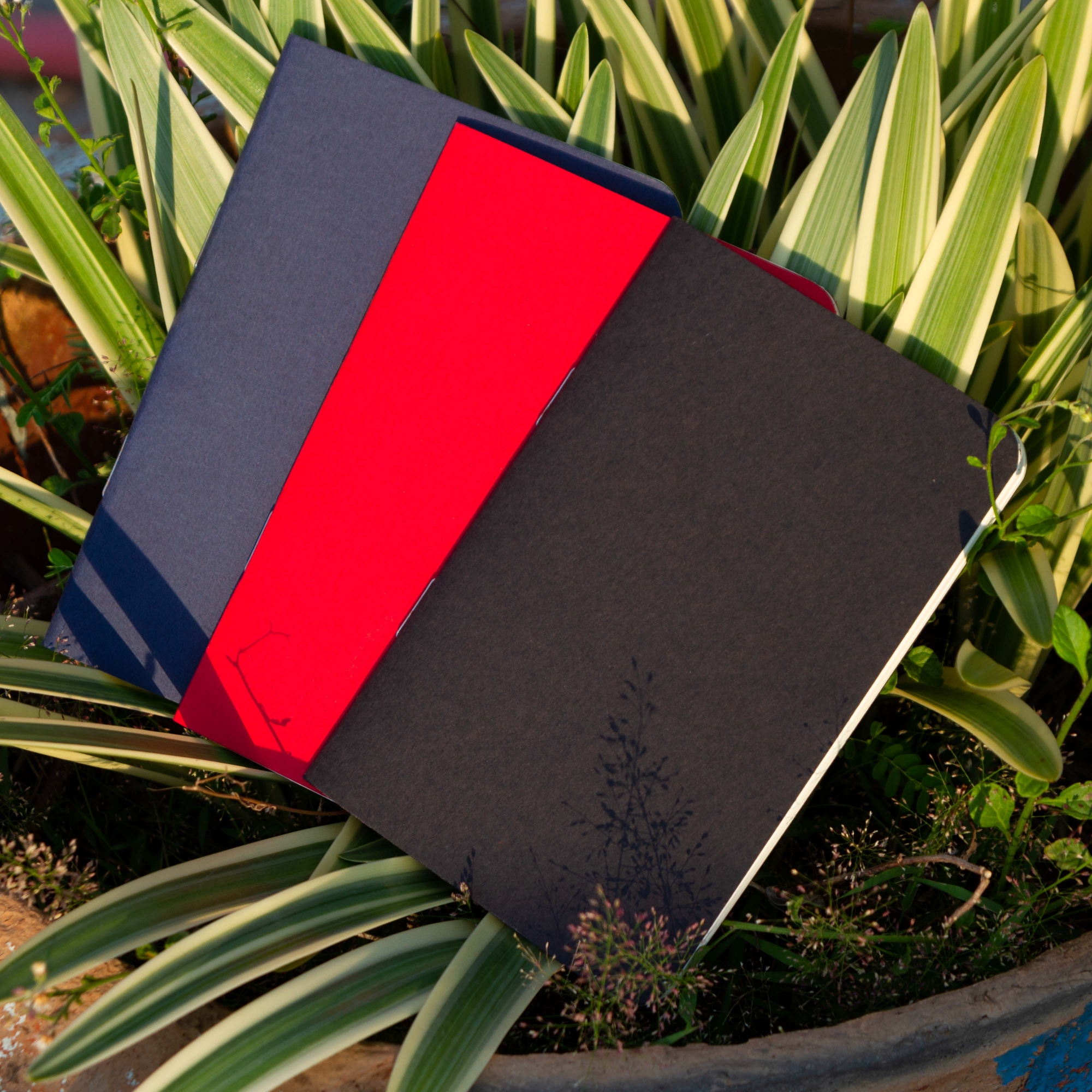 Picture of Pocket Book Black, Blue & Red Notebook 3-Pack