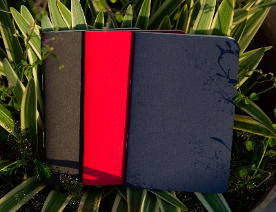 Picture of Pocket Book Black, Blue & Red Notebook 3-Pack