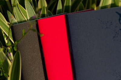 Picture of Pocket Book Black, Blue & Red Notebook 3-Pack