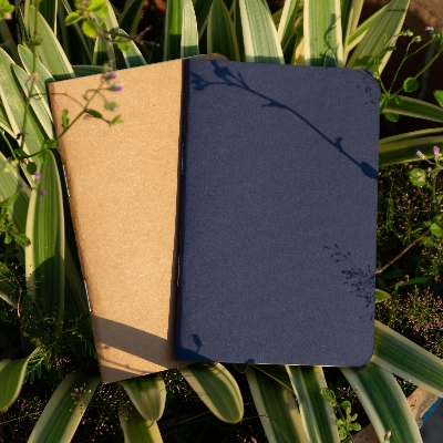 Picture of Pocket Book Blue & Kraft Notebook 2-Pack