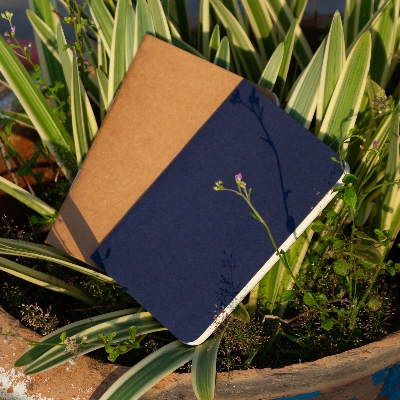 Picture of Pocket Book Blue & Kraft Notebook 2-Pack