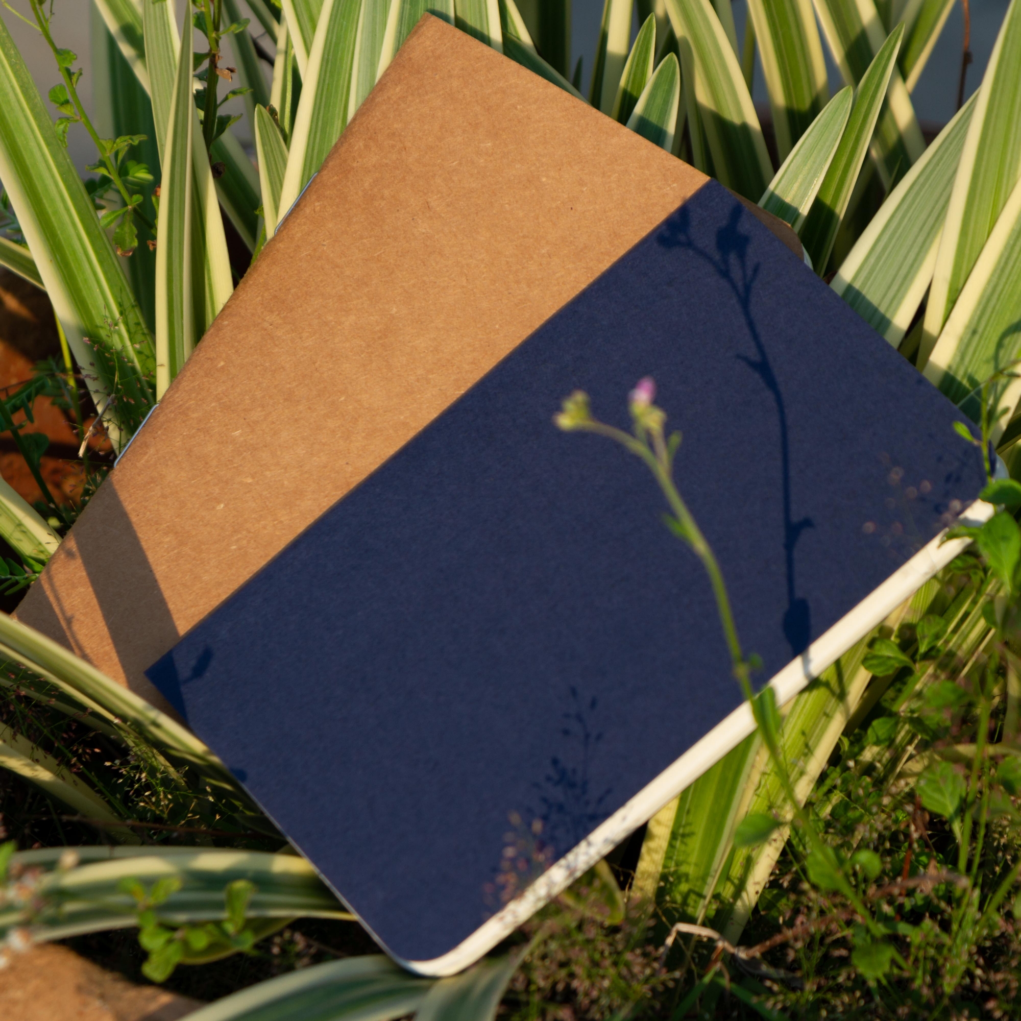 Picture of Pocket Book Blue & Kraft Notebook 2-Pack