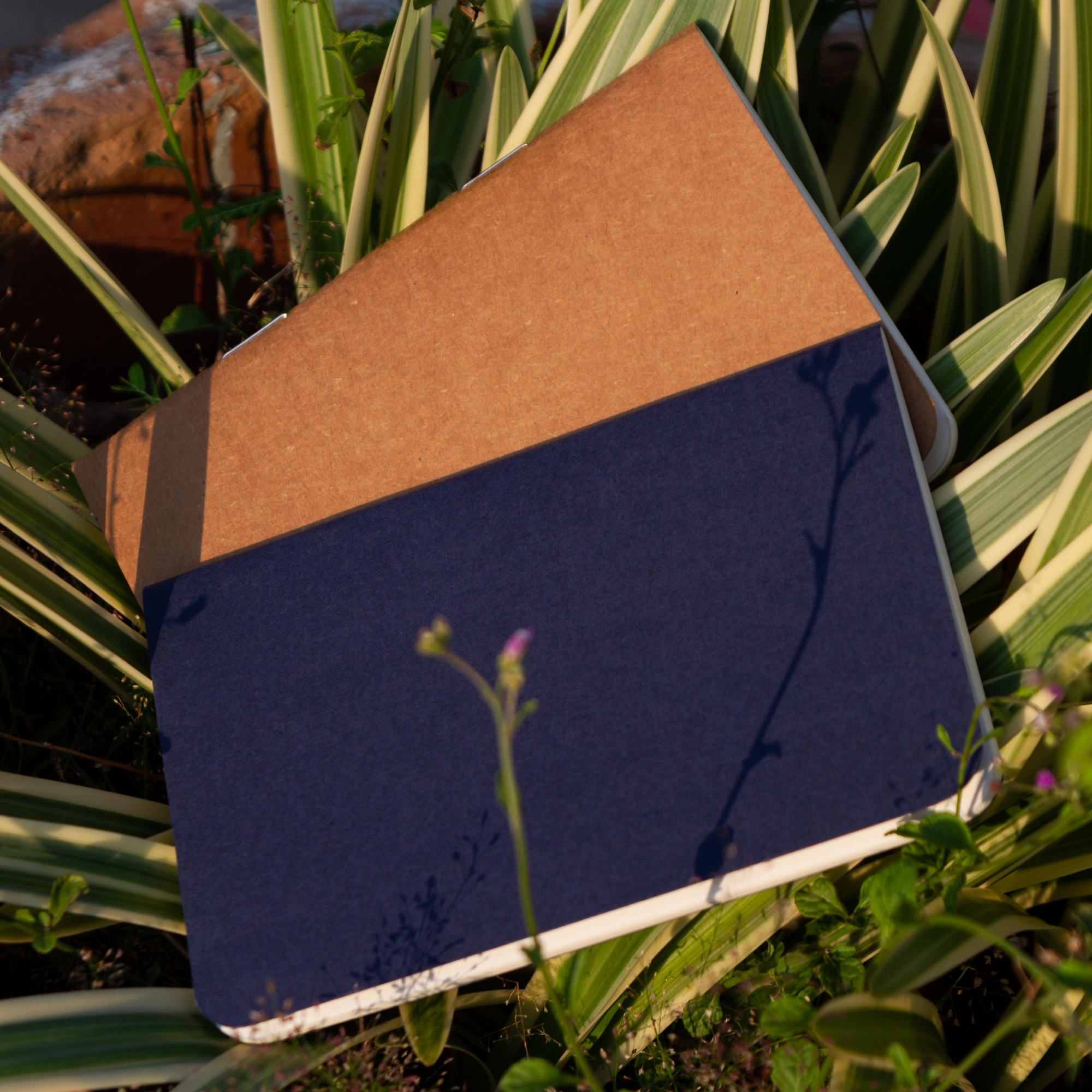Picture of Pocket Book Blue & Kraft Notebook 2-Pack
