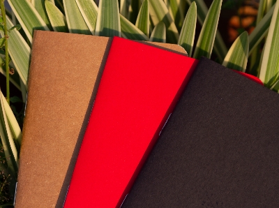 Picture of Pocket Book Black, Kraft & Red Notebook 3-Pack