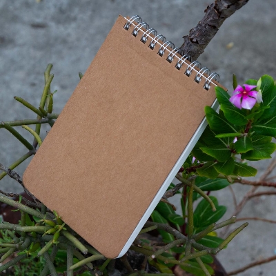 Picture of Memo Book Silver Double-O Ring Notebook