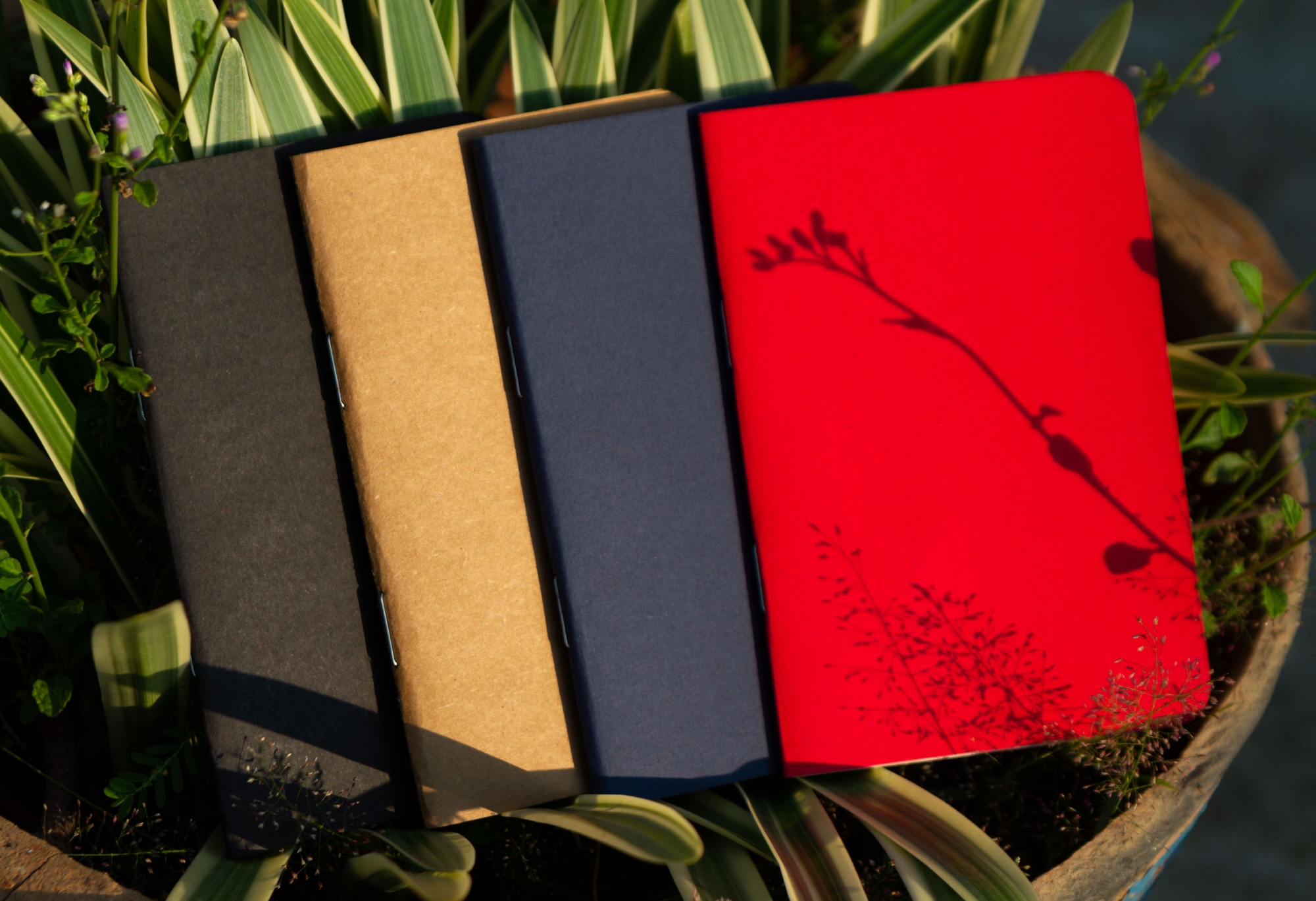 Picture of Pocket Book Black, Blue, Kraft & Red Notebook 4-Pack